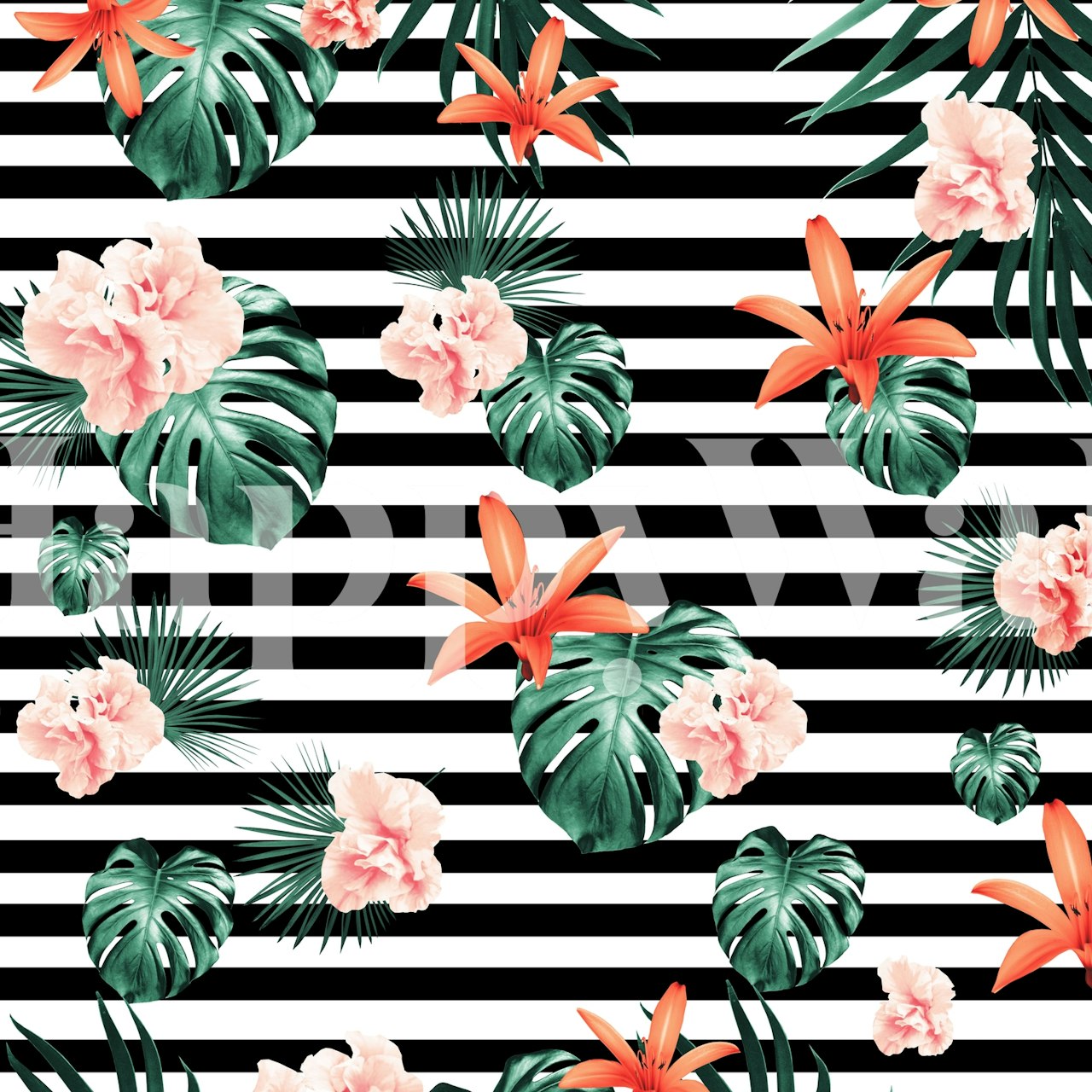 Tropical floral striped wallpaper with pink flowers and green leaves on black and white stripes
