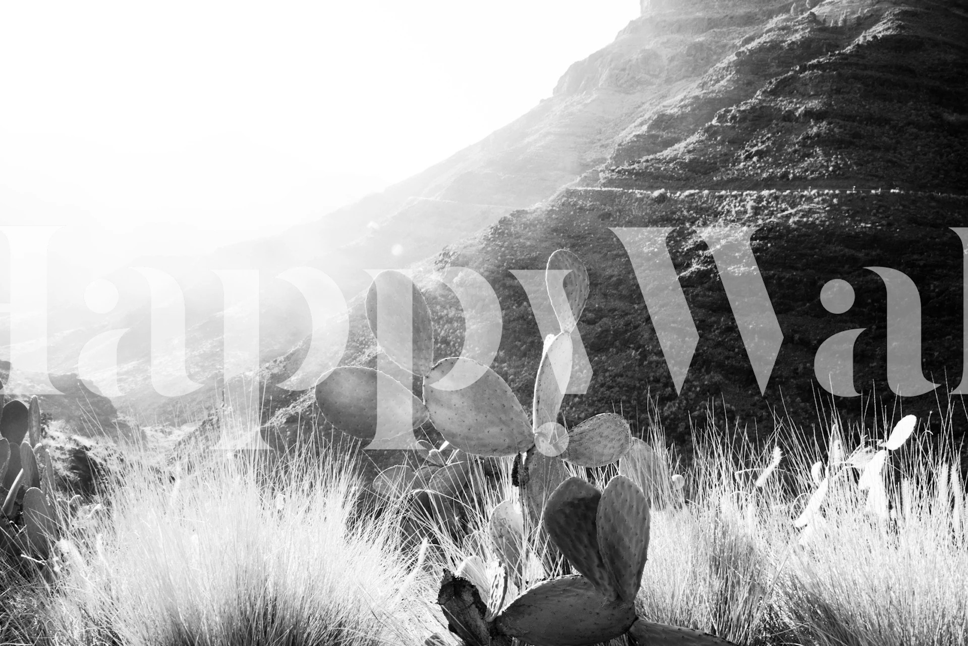 Silhouette monocromatica di cactus contro il murale con sfondo di montagna