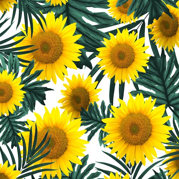 Tropical Sunflower Jungle 1