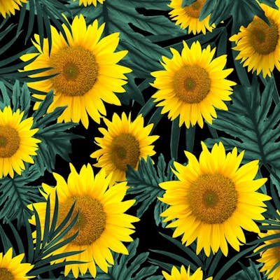 Τοιχογραφία