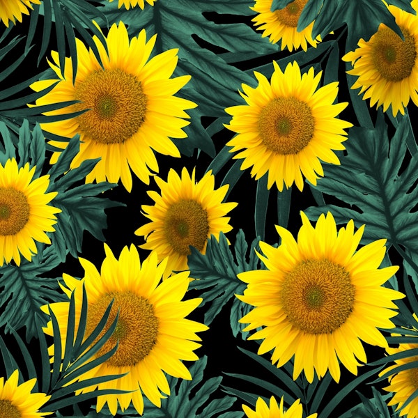 Tropical Sunflower Night 1