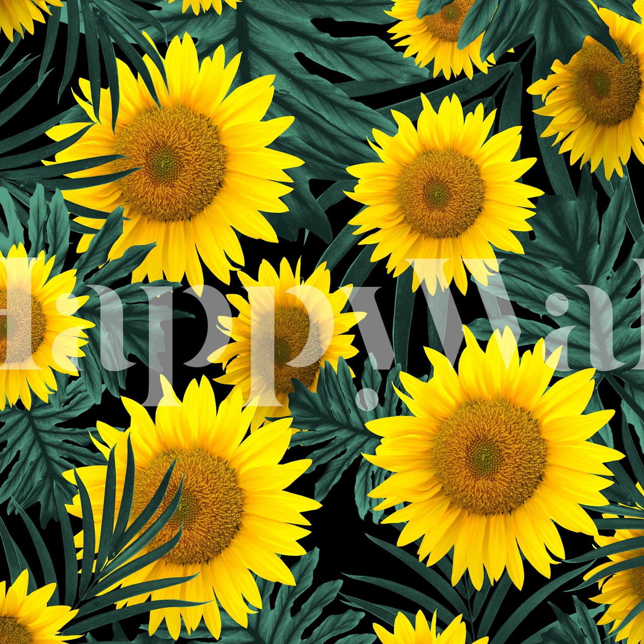 Zonnebloem muurschildering met een donkere tropische gebladerteachtergrond