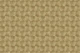 Golden Glamour Texture