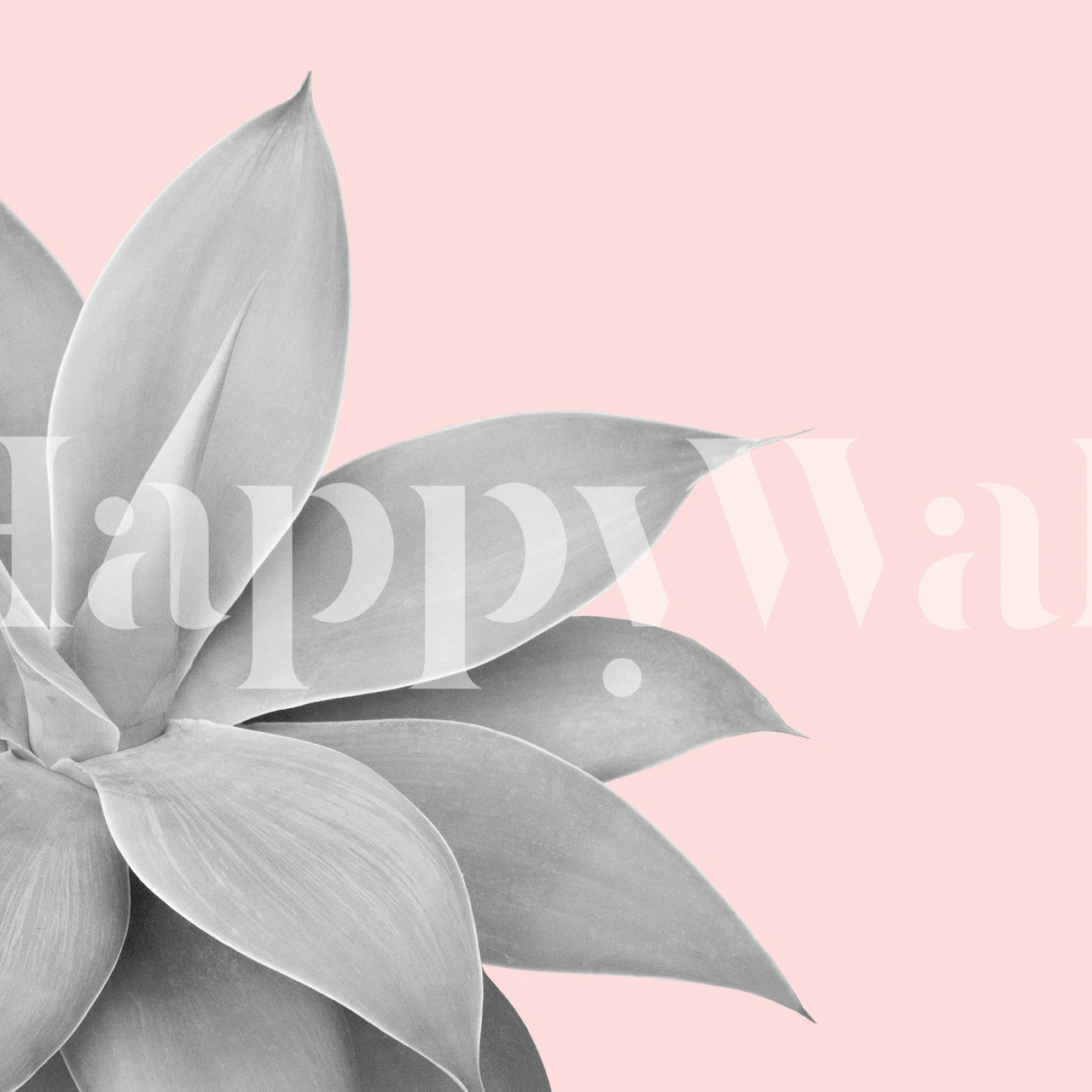 Agave växt gråskala illustration på mjuk rosa bakgrund väggmålning