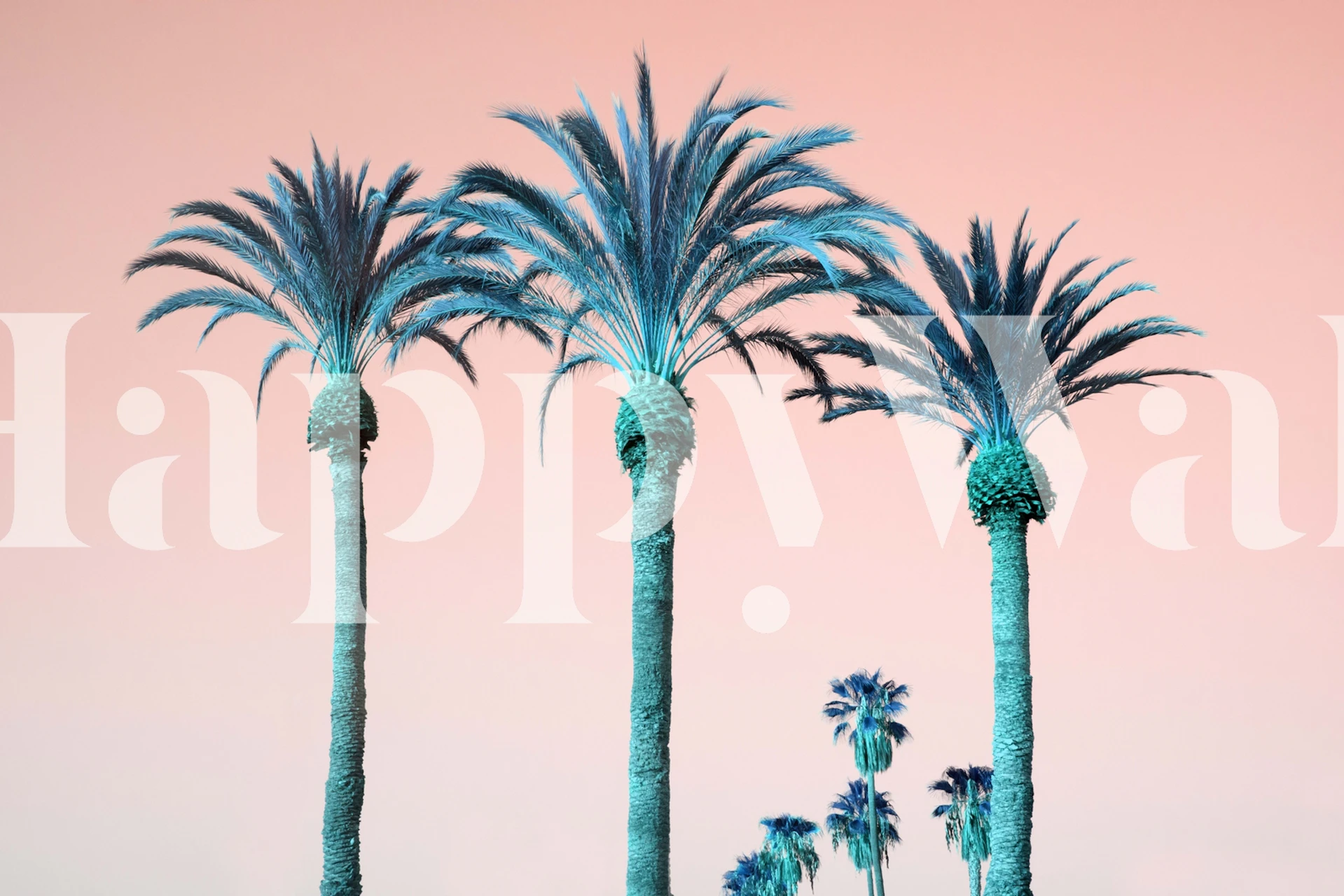 Tall palm trees against a soft pink background wallpaper