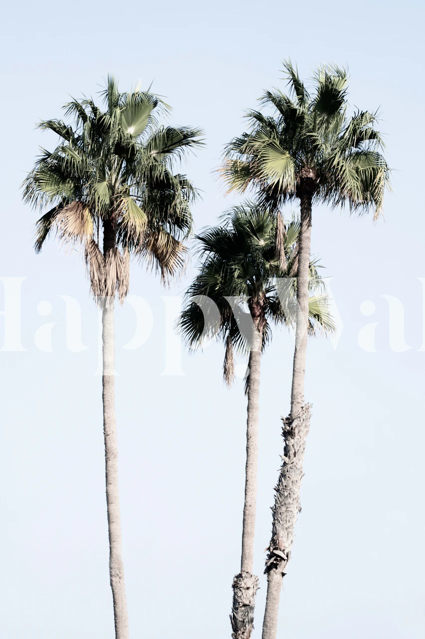 Zidna slika s tropskim palmama za uređenje interijera