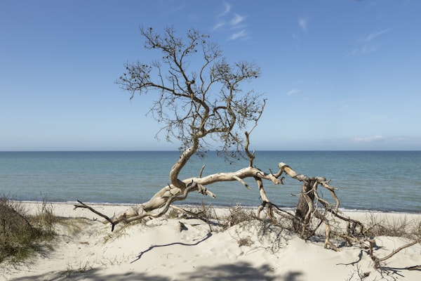 Baltic Sea Summer Days