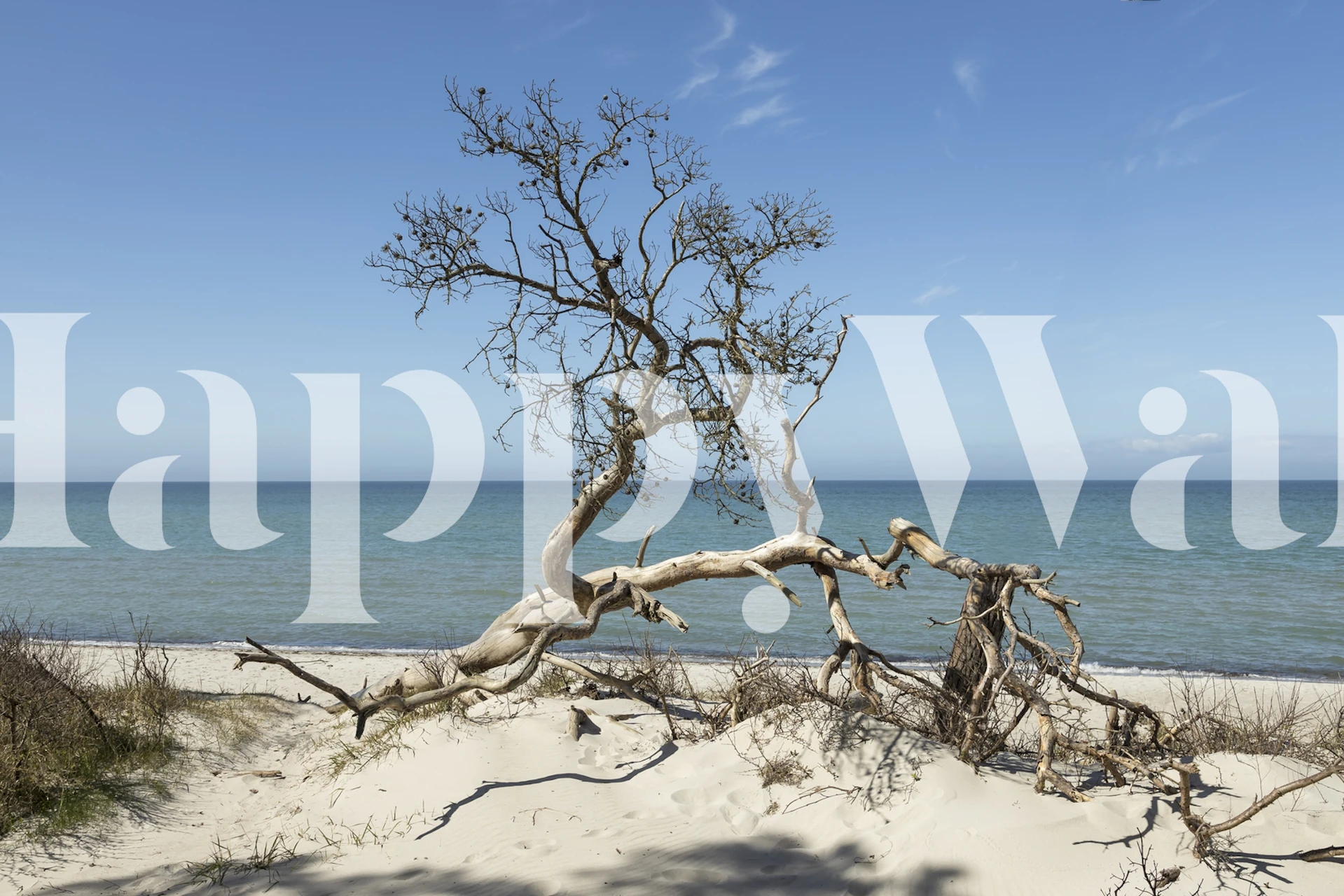 Baltic Sea Summer Days wallpaper in room