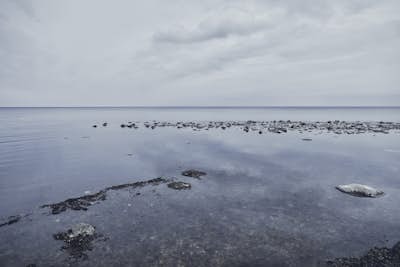 Τοιχογραφία