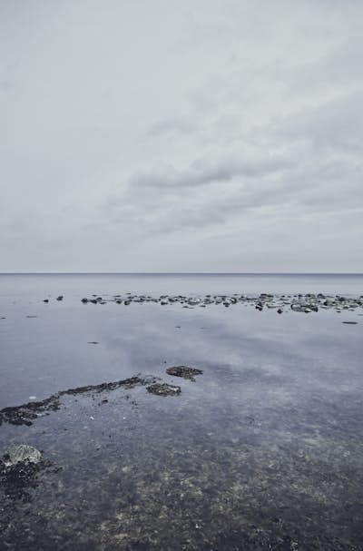 Τοιχογραφία