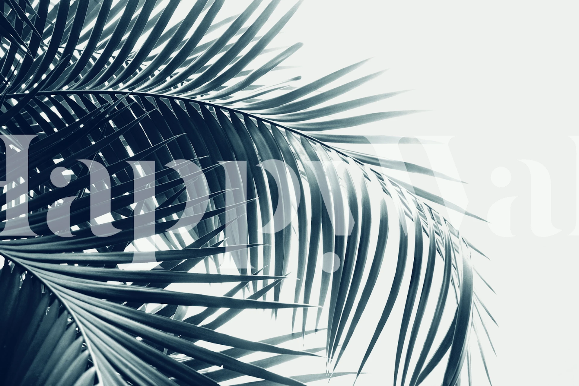 Palm leaves wallpaper on display