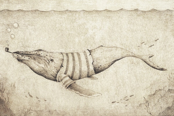 Sailor of the deep ocean