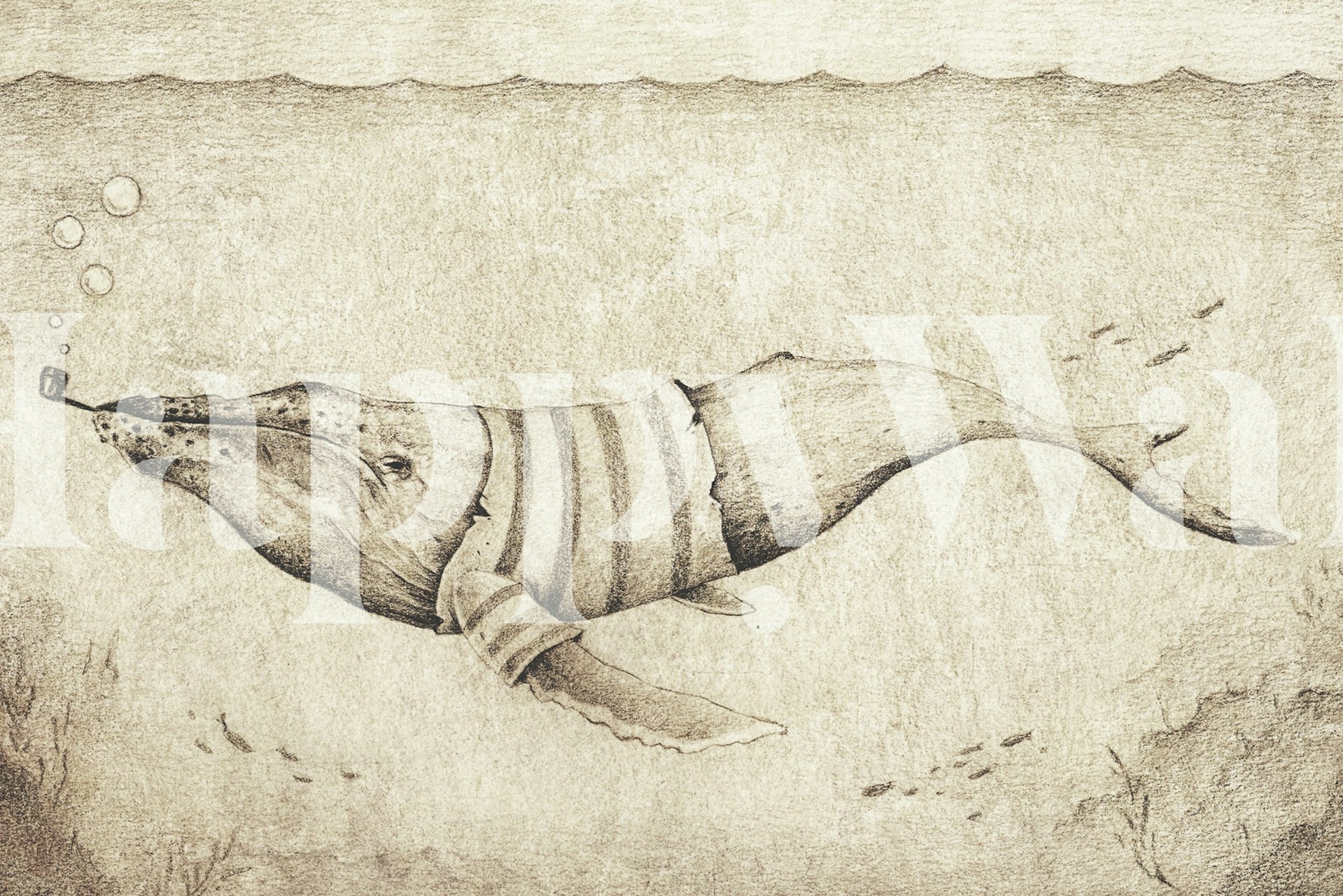 Vintage-style wall mural depicting a whale swimming in the ocean