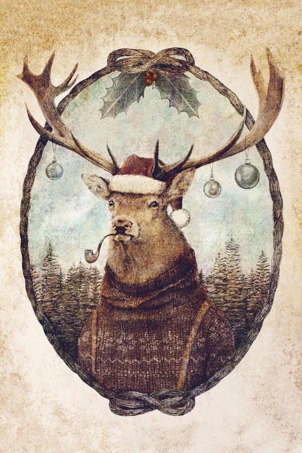 Thinking Wild Christmas