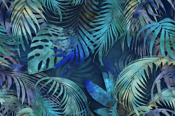 Mystic Jungle Golden Hour