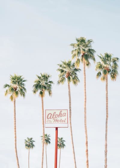 Τοιχογραφία