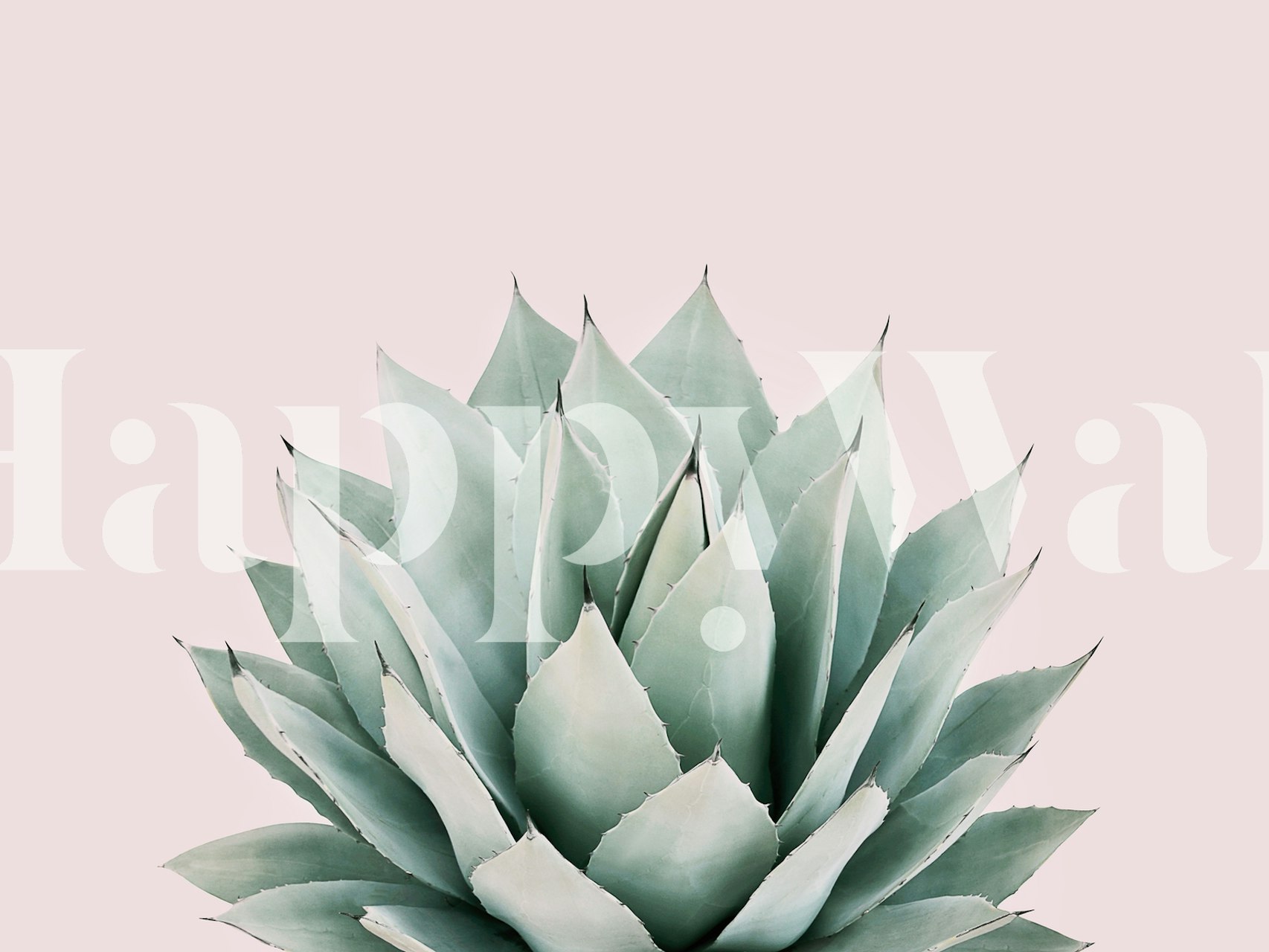 Fototapete Agavenpflanzensilhouette auf pastellrosa Hintergrund