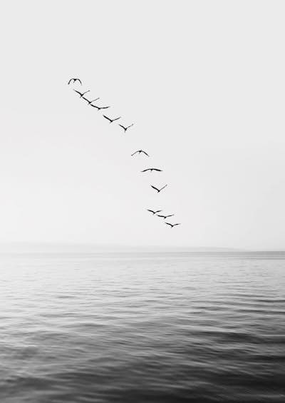 Τοιχογραφία