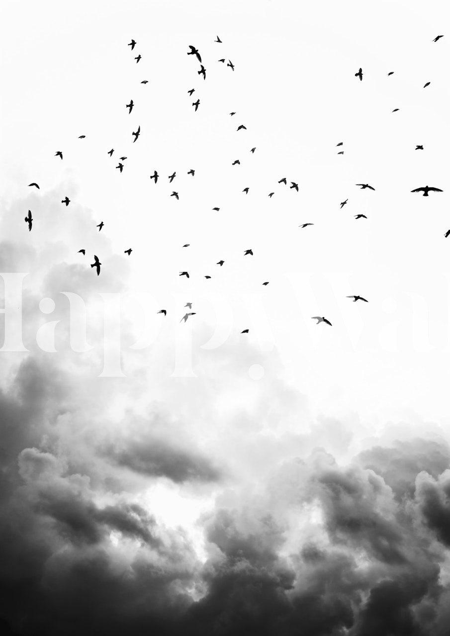 Black and white wall mural featuring birds flying amidst clouds in the sky