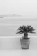 Santorini Zen Dream BW 1