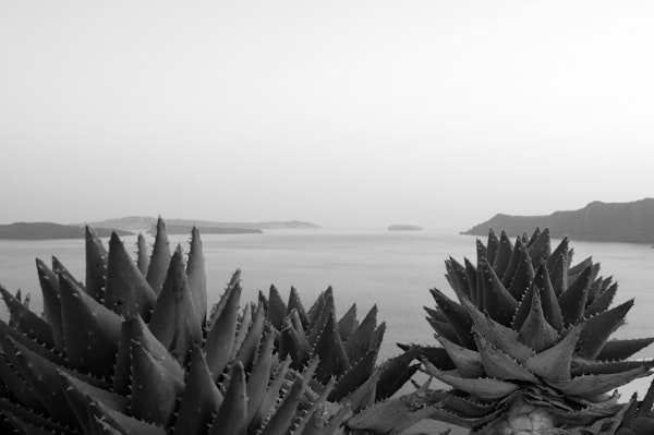 Santorini Zen Dream BW 2