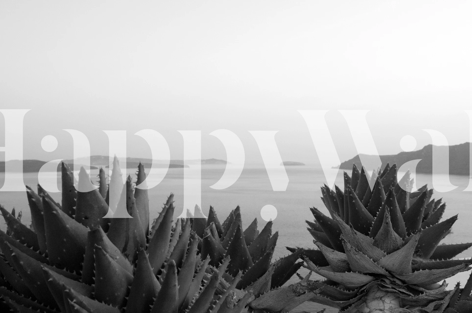 Black and white wallpaper featuring coastal landscape with spiky plants and distant islands