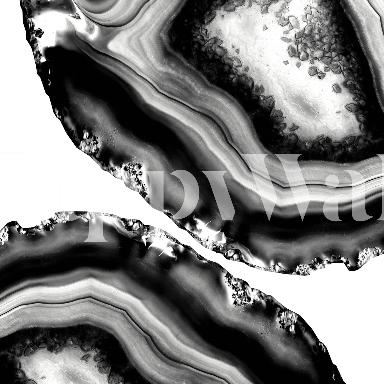 Elegant gray, black, and white agate pattern wall mural