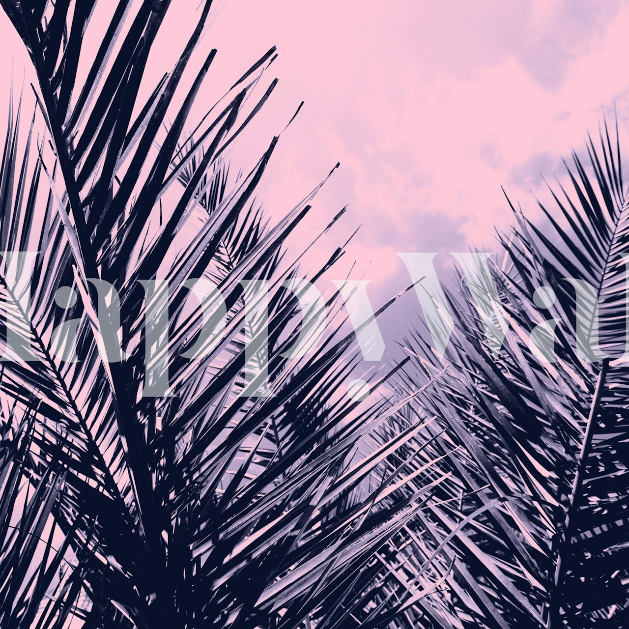 Silhouetted palm leaves wall mural with a pink sunset sky, embodying California's summer vibes