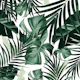 Tropical Jungle Leaves 4