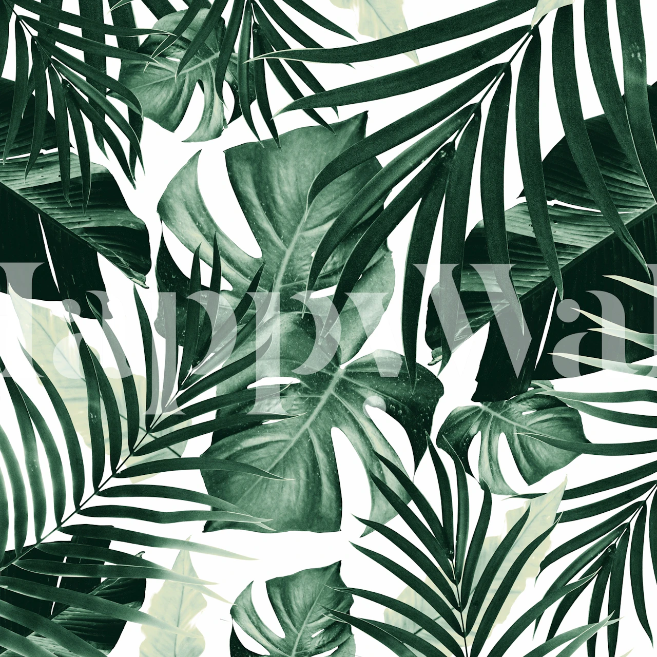Tropical leaves in green shades on a white background wallpaper
