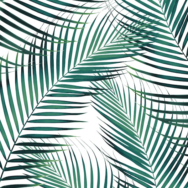 Palm Leaves Green Cali 1