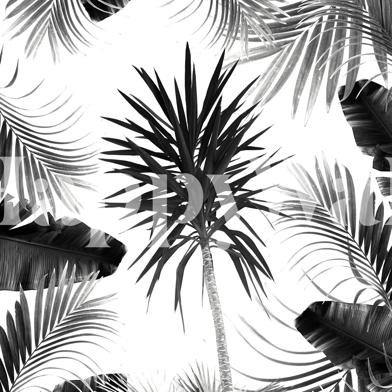 Black and white tropical leaves pattern wallpaper