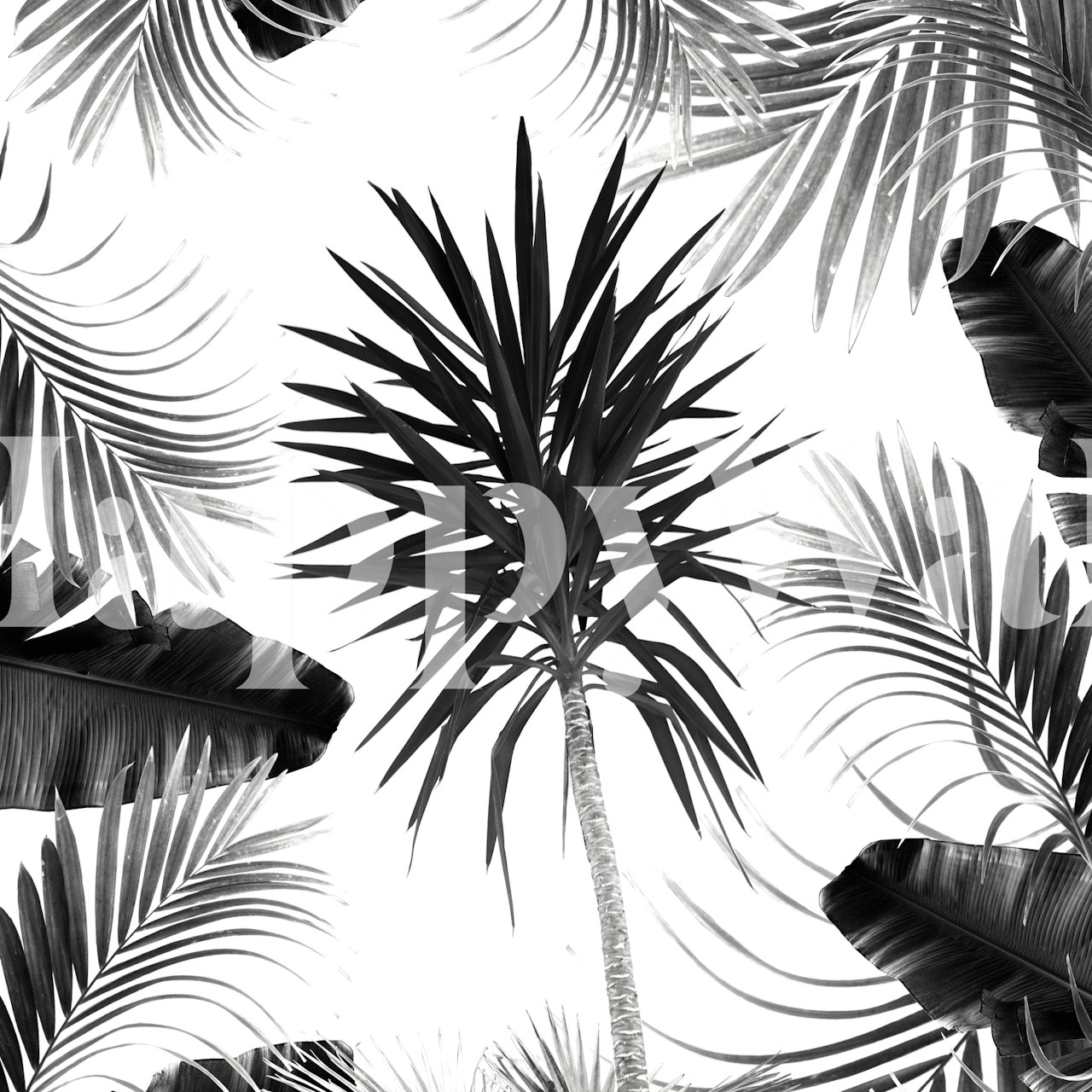 Black and white tropical leaves pattern wallpaper