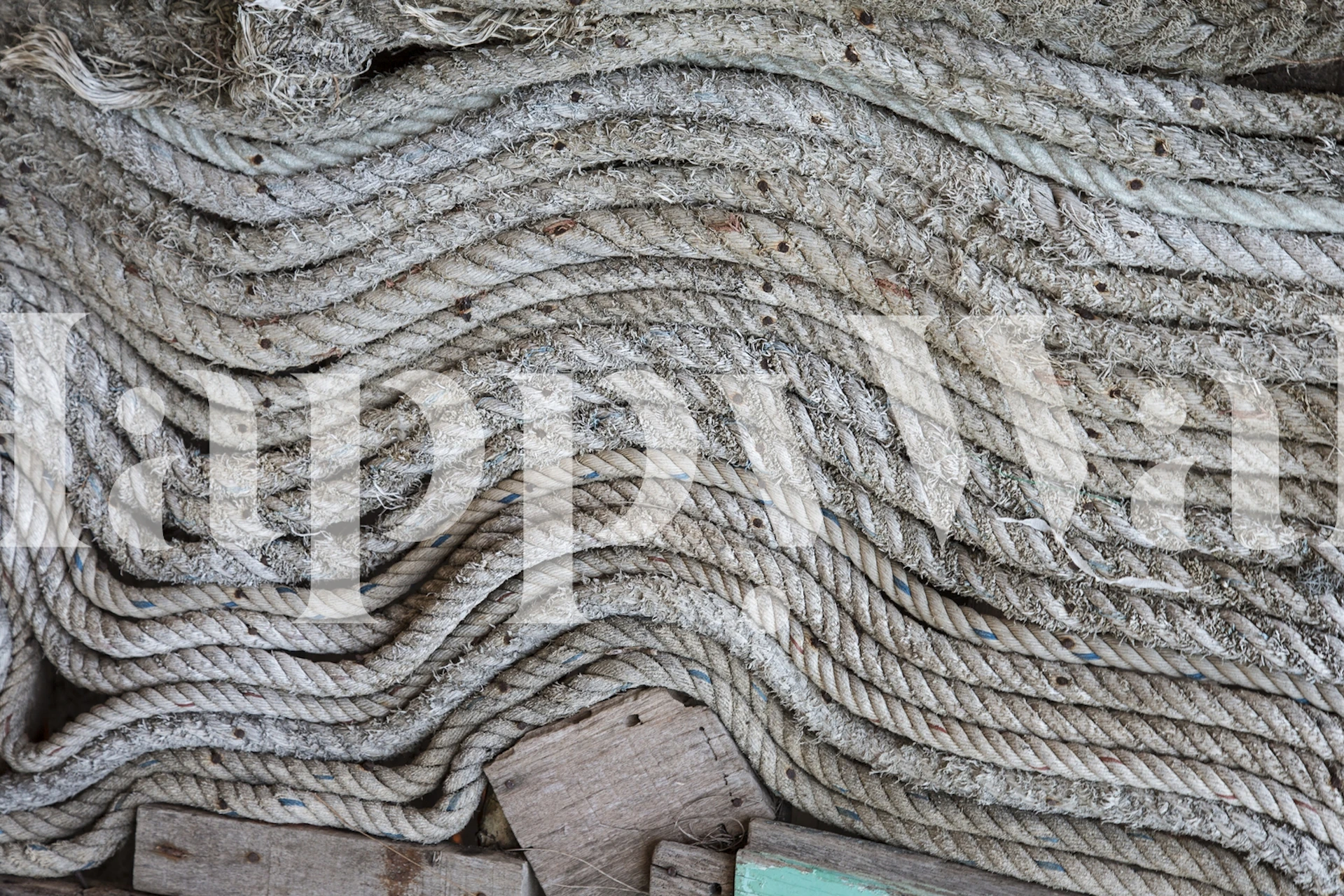 Maritime Rope Collage tapet i ett rum