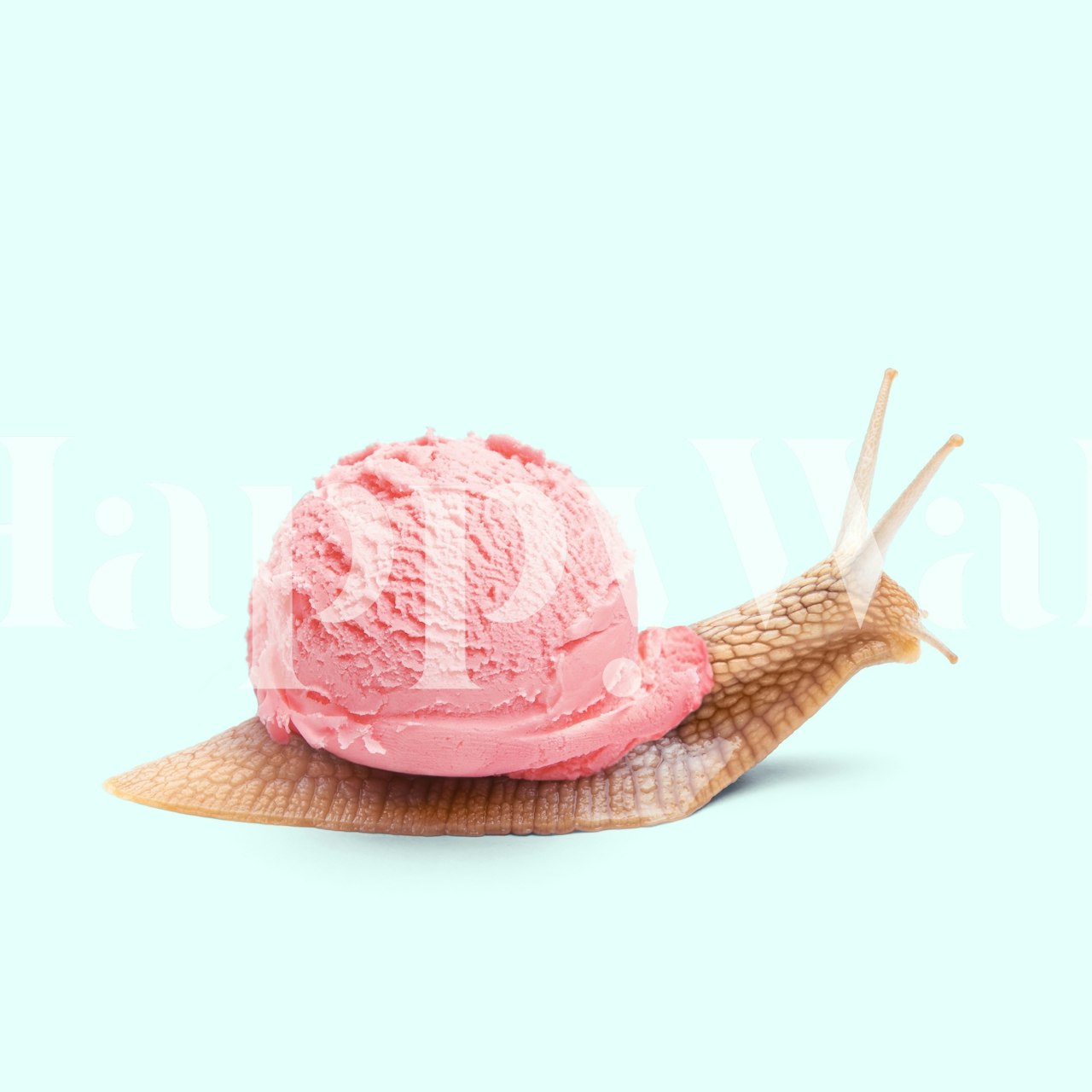 Striking Ice Snail Wall Mural showcasing creativity and artistic home decor