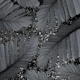 Banana Leaves Glitter Glam 2