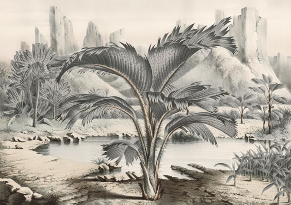 Vintage Paradise Landscape