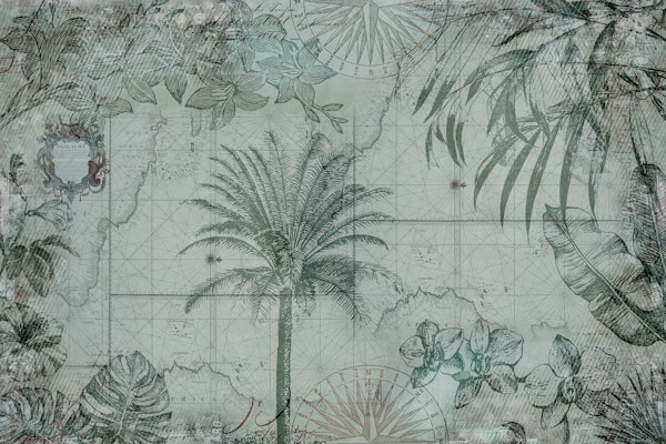 Vintage Map Tropical Jungle