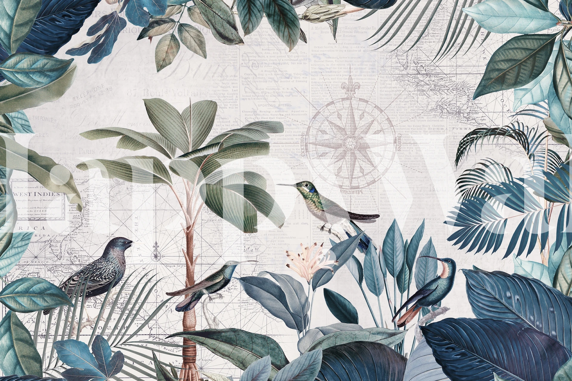 Tropical Birds Paradise tapet i et rum.