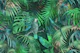 Parrots In The Mystic Green