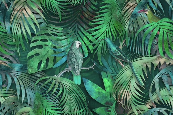 Parrots In The Mystic Green