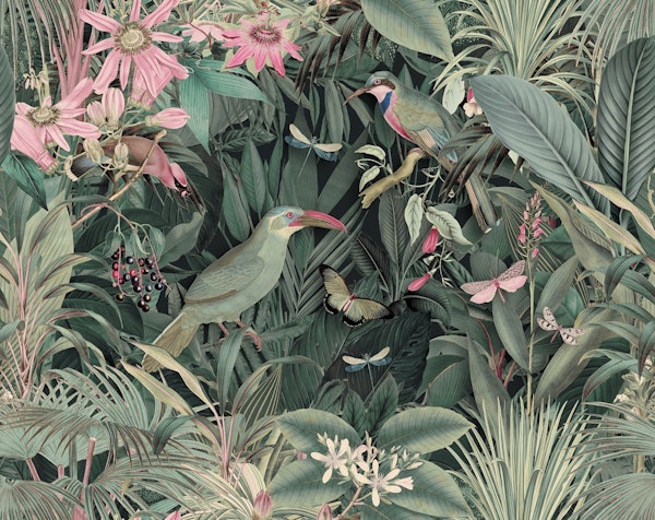 Midnight Jungle Tropical Birds