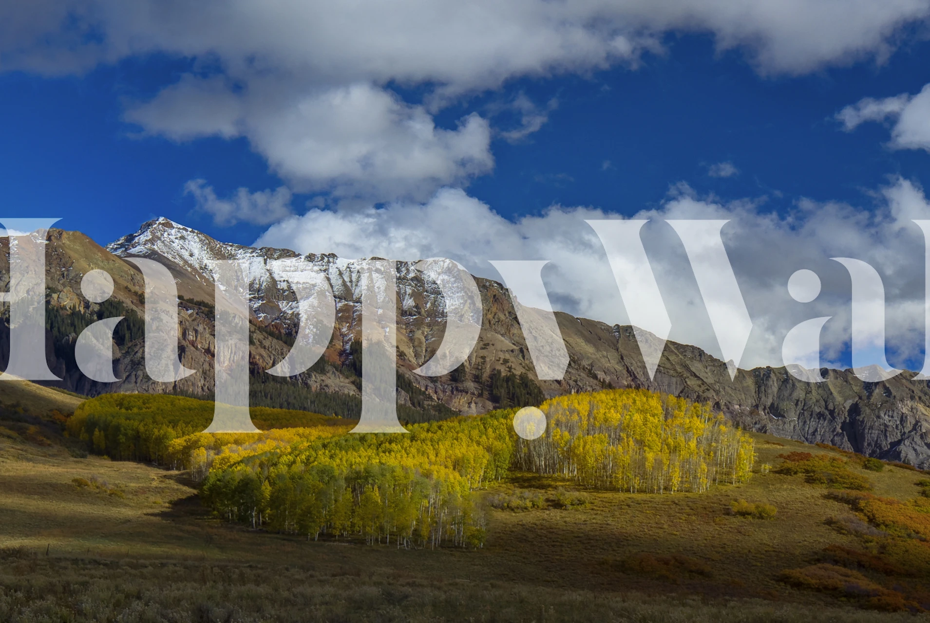 Wandbild der Berge von Colorado im Herbst mit goldenen Espen und schneebedeckten Gipfeln