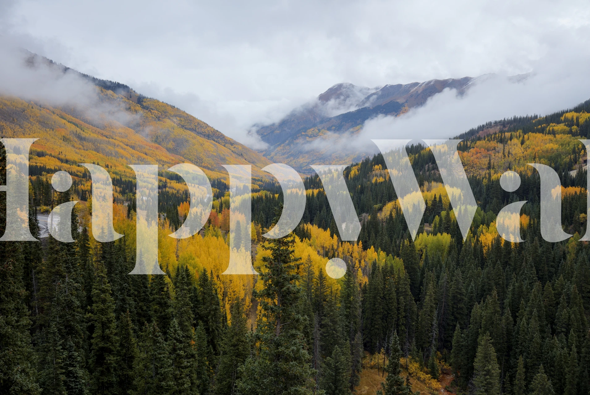 Mountain landscape with fall colors, yellow and green trees, wallpaper