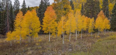 Τοιχογραφία