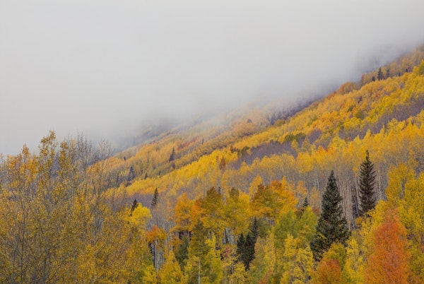 An Autumn Revelation 1