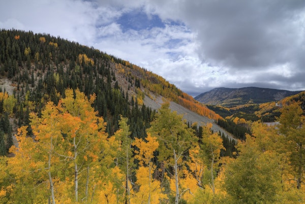 Autumn At Coal Bank Pass