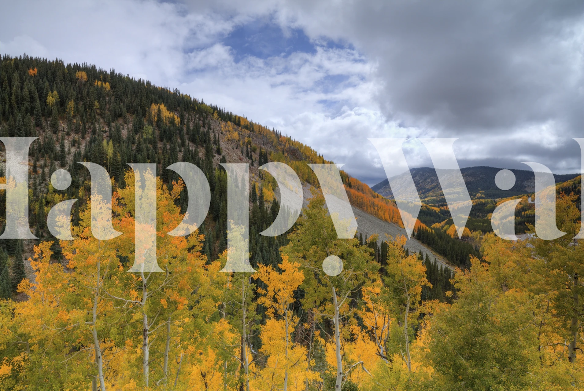 Efterårsløv ved Coal Bank Pass med gyldne aspetræer og bjerglandskab vægmaleri