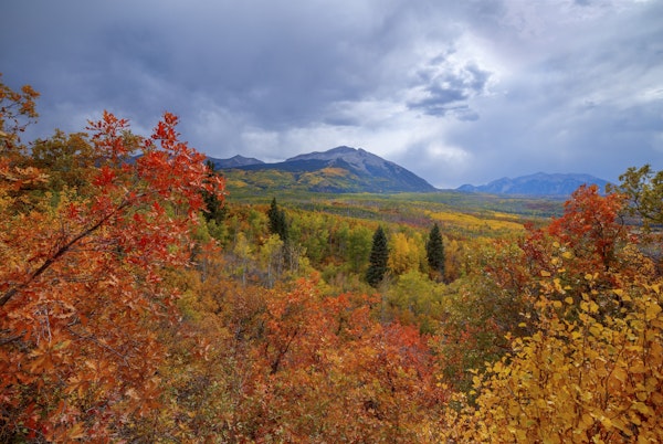 Autumn At Kebler Pass