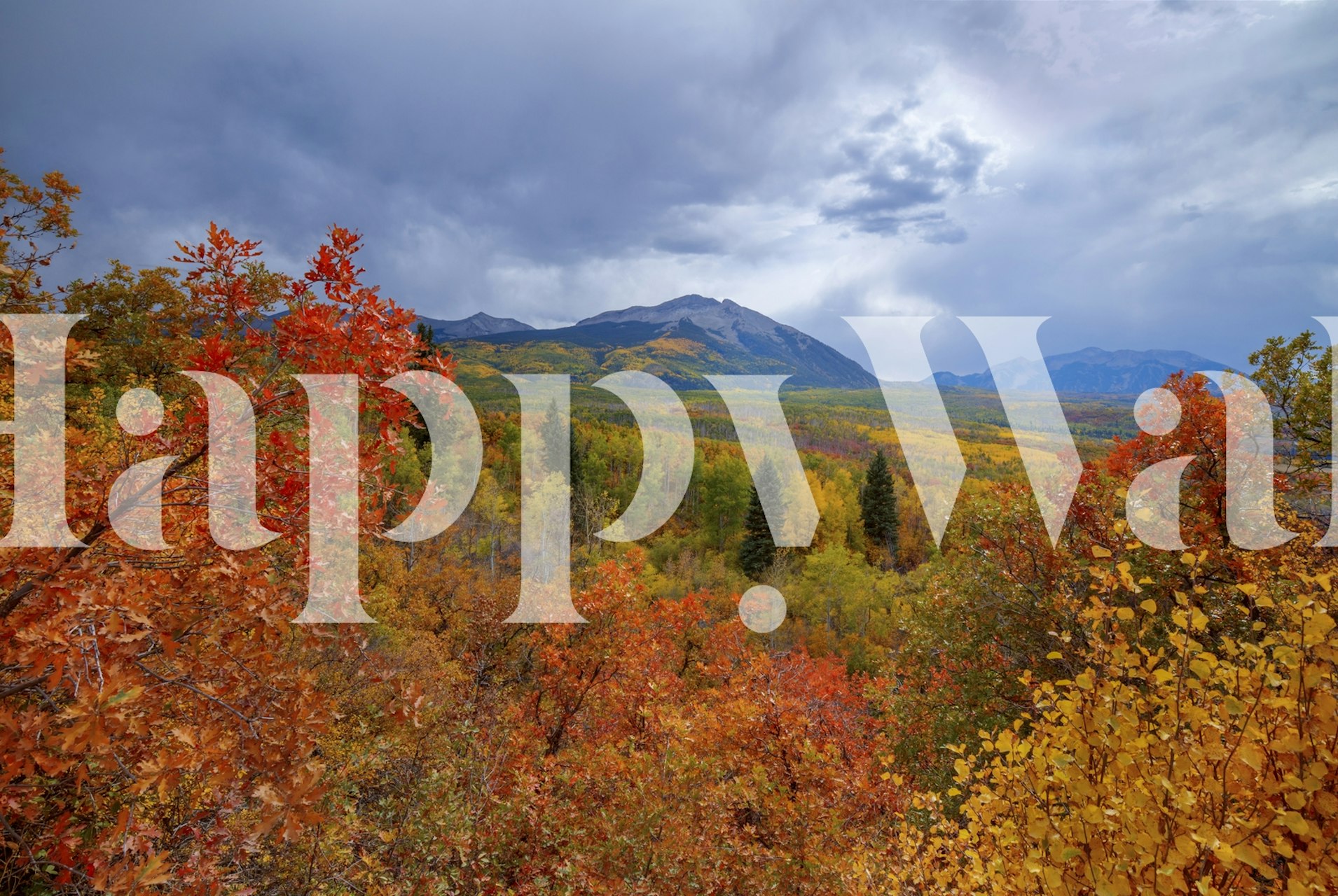 Autumn landscape wallpaper in a room